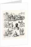 War in the East, Types of Turkish Soldiery by Anonymous