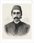 The New Sultan of Turkey, Hamid II by Anonymous