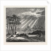 The North of London, the Heath, Hampstead by Anonymous