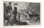 Feeding the Deer, Phoenix Park, Dublin, Ireland by Anonymous