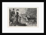 Feeding the Deer, Phoenix Park, Dublin, Ireland by Anonymous