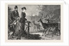Feeding the Deer, Phoenix Park, Dublin, Ireland by Anonymous