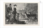 Feeding the Deer, Phoenix Park, Dublin, Ireland by Anonymous