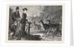 Feeding the Deer, Phoenix Park, Dublin, Ireland by Anonymous