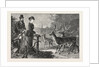 Feeding the Deer, Phoenix Park, Dublin, Ireland by Anonymous