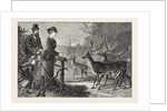 Feeding the Deer, Phoenix Park, Dublin, Ireland by Anonymous