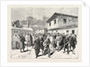 The War: A Party of Insurgents Being Conducted to Prison by the Turks by Anonymous