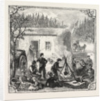 Hops and Hop Pickers, in a Kentish Hop Garden, Kent, England, the Temporary Home by Anonymous