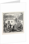Hops and Hop Pickers, in a Kentish Hop Garden, Kent, England, the Temporary Home by Anonymous