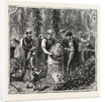 Hops and Hop Pickers, in a Kentish Hop Garden, Kent, England, Measuring the Hops by Anonymous