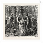 Hops and Hop Pickers, in a Kentish Hop Garden, Kent, England, Measuring the Hops by Anonymous