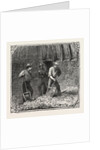 Hops and Hop Pickers, in a Kentish Hop Garden, Kent, England, Turning Hops in the Kiln by Anonymous