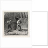 Hops and Hop Pickers, in a Kentish Hop Garden, Kent, England, Turning Hops in the Kiln by Anonymous