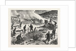 The War: Servian Soldiers Burning the Bodies of Turks Killed in the Fight of August 23, and Unrecovered on the 27th, in the Wood of Buimir, Near Alexina by Anonymous