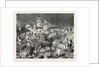 Turko Servia War, Arnauts and Circassians and Burning with Petroleum the Village of Tesica by Anonymous