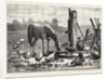 A Fashionable Watering Place. Horse, Geese, Chicken, Outdoor, Farm by Anonymous