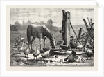 A Fashionable Watering Place. Horse, Geese, Chicken, Outdoor, Farm by Anonymous