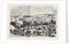 The War, Attack on the Redoubt of Schumatoraz by the Turkish Imperial Guard by Anonymous