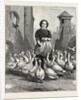 Michaelmas Geese, the Last Meal by Anonymous