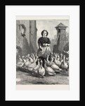 Michaelmas Geese, the Last Meal by Anonymous