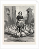 Michaelmas Geese, the Last Meal by Anonymous