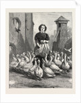 Michaelmas Geese, the Last Meal by Anonymous