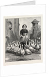 Michaelmas Geese, the Last Meal by Anonymous