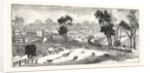 Opening of the Deniliquin and Echuca Railway: Echuca, South Australia by Anonymous