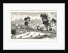 Opening of the Deniliquin and Echuca Railway: Echuca, South Australia by Anonymous