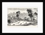 Opening of the Deniliquin and Echuca Railway: Echuca, South Australia by Anonymous