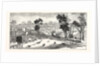 Opening of the Deniliquin and Echuca Railway: Echuca, South Australia by Anonymous