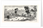 Opening of the Deniliquin and Echuca Railway: Echuca, South Australia by Anonymous