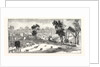 Opening of the Deniliquin and Echuca Railway: Echuca, South Australia by Anonymous