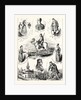 The Turko-Servian War; Pen-and-Ink Sketches, Turkey, Serbia by Anonymous