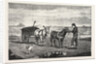Gathering Seaweed: A Sketch on the Sands at Whitby by Anonymous