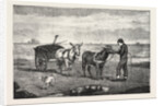 Gathering Seaweed: A Sketch on the Sands at Whitby by Anonymous