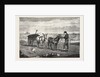 Gathering Seaweed: A Sketch on the Sands at Whitby by Anonymous