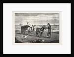 Gathering Seaweed: A Sketch on the Sands at Whitby by Anonymous