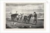 Gathering Seaweed: A Sketch on the Sands at Whitby by Anonymous