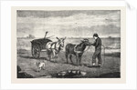 Gathering Seaweed: A Sketch on the Sands at Whitby by Anonymous