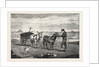 Gathering Seaweed: A Sketch on the Sands at Whitby by Anonymous