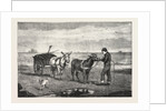 Gathering Seaweed: A Sketch on the Sands at Whitby by Anonymous