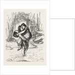 A Pleasant Burden, Friendship, Love, Boy, Girl, Basket, Stream by Anonymous