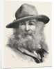 Walt Whitman, May 31, 1819 – March 26, 1892, Was an American Poet, Essayist and Journalist, United States by Anonymous