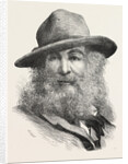 Walt Whitman, May 31, 1819 – March 26, 1892, Was an American Poet, Essayist and Journalist, United States by Anonymous