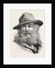 Walt Whitman, May 31, 1819 – March 26, 1892, Was an American Poet, Essayist and Journalist, United States by Anonymous