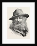 Walt Whitman, May 31, 1819 – March 26, 1892, Was an American Poet, Essayist and Journalist, United States by Anonymous