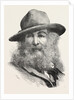 Walt Whitman, May 31, 1819 – March 26, 1892, Was an American Poet, Essayist and Journalist, United States by Anonymous