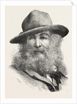 Walt Whitman, May 31, 1819 – March 26, 1892, Was an American Poet, Essayist and Journalist, United States by Anonymous