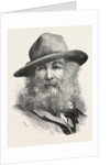 Walt Whitman, May 31, 1819 – March 26, 1892, Was an American Poet, Essayist and Journalist, United States by Anonymous